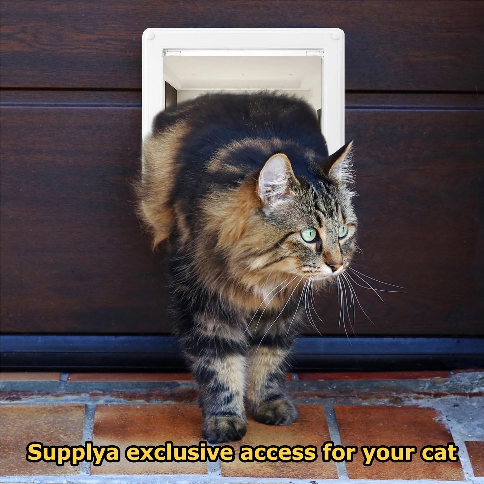 Chatiere pour Chat Porte intérieure résistante aux intempéries for Animaux de Compagnie, avec Serrure à 4 Voies, Facile Installer, for Armoire, Garage, buanderie, Placard pour Porte(White)