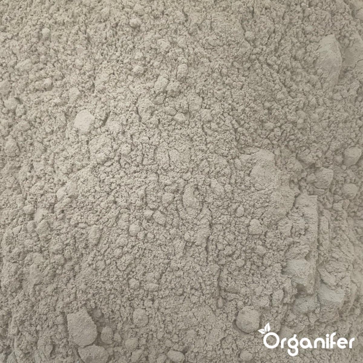 Kieselgur - 100% Rein - Bodenpulver - Ultrafeines Pulver - Ungiftiges Gartenpulver - Bodenverbesserung - Gartendünger - Kieselgur für Hühner - Gegen Ameisen - Organifer (10 KG)