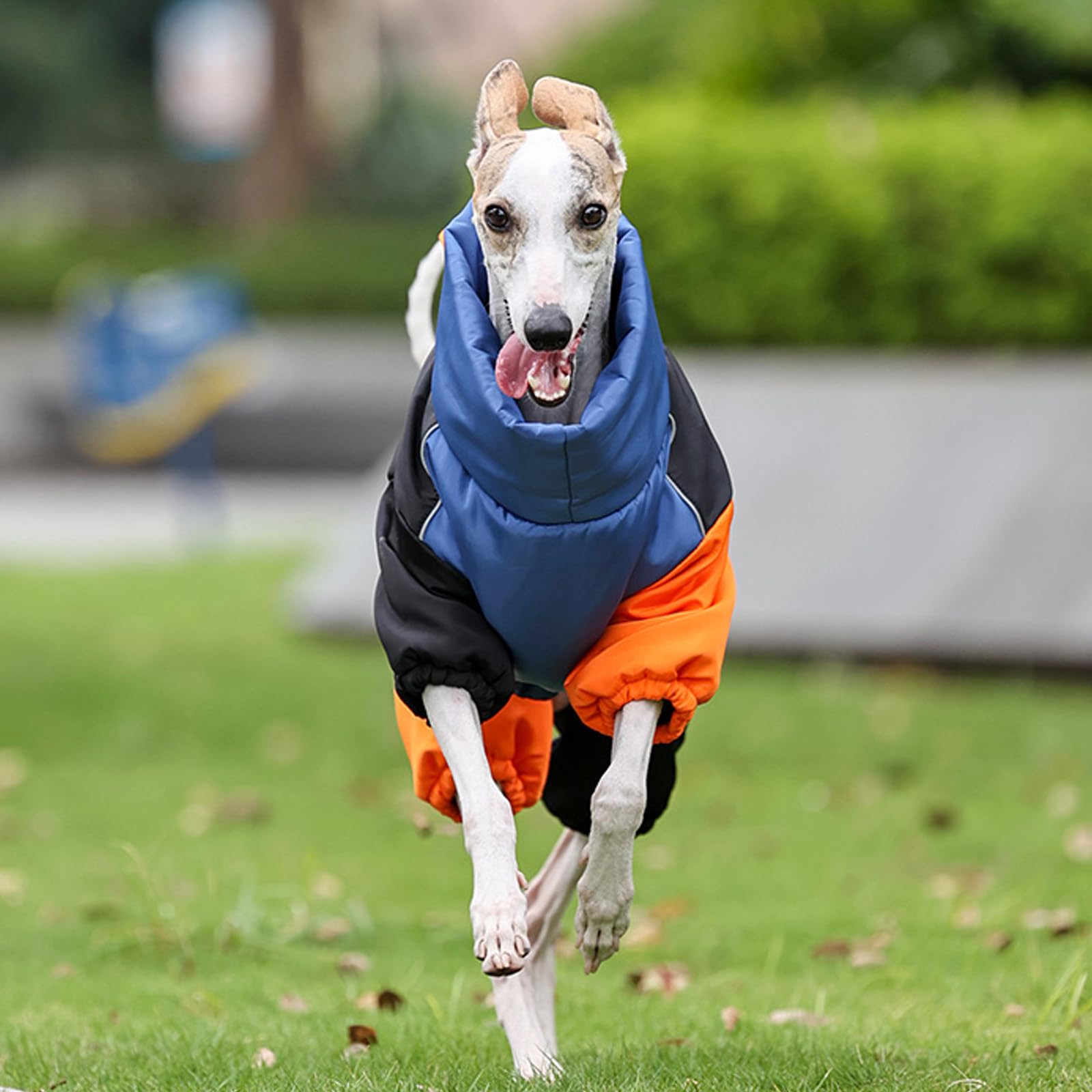 Abrigo cálido para perro, traje de nieve resistente al viento en clima frío, chaquetas de invierno reflectantes de cuello alto con mangas largas y cierre de cremallera para razas medianas y