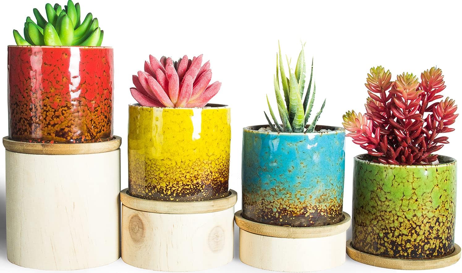 Succulent Pots, 3.8 Inch Round Succulent Planters Pots with Drainage Set of 4, Ceramic Cactus Plant Pots with Bamboo Trays Small Flower Bonsai Plant Container for Indoor Outdoor Home Garden Decor