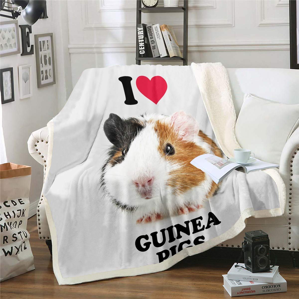 Guinea Pig Vacation ubicaciondepersonas.cdmx.gob.mx