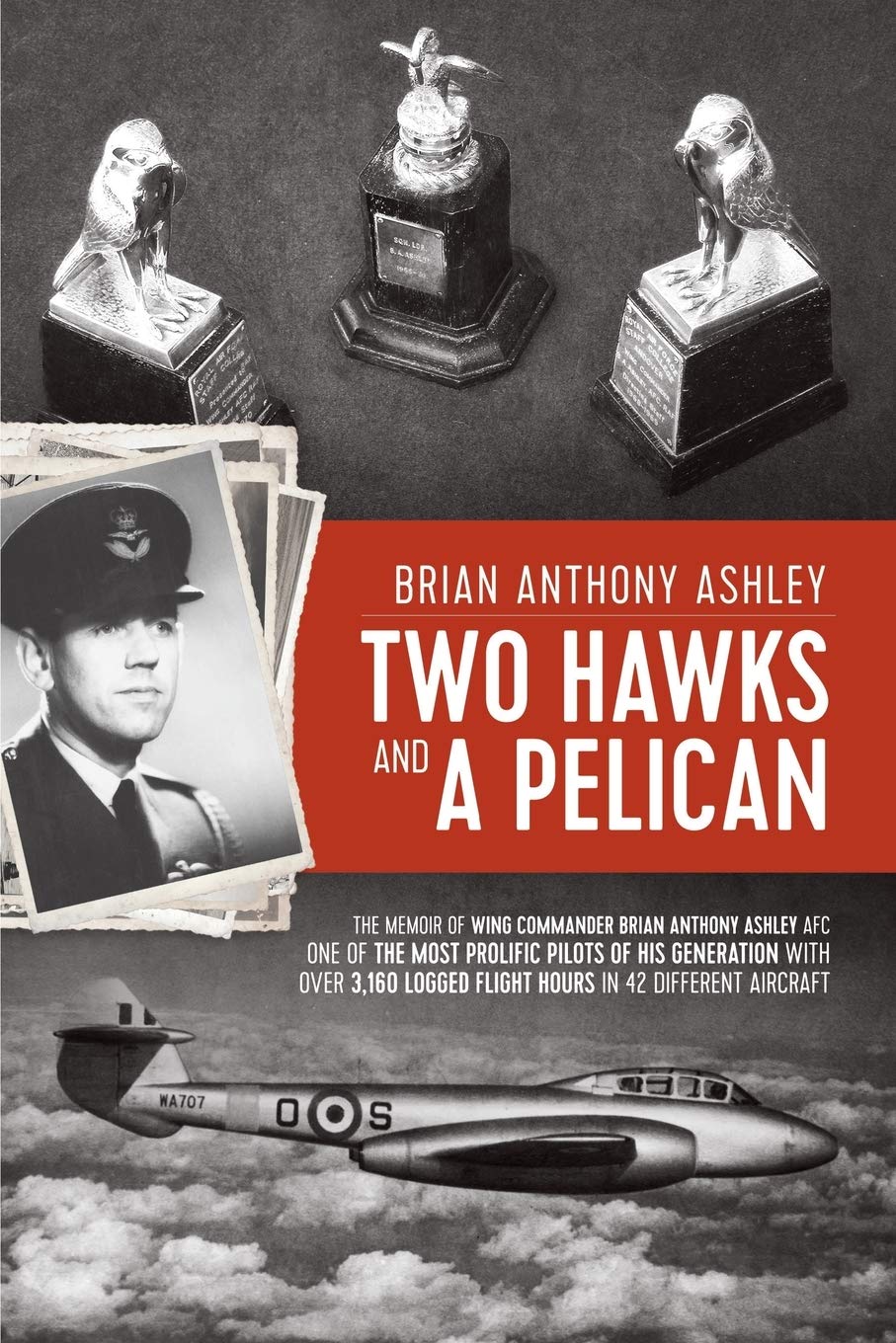 Two Hawks and a Pelican: The memoir of wing commander Brian Anthony Ashley AFC (1928-2015)