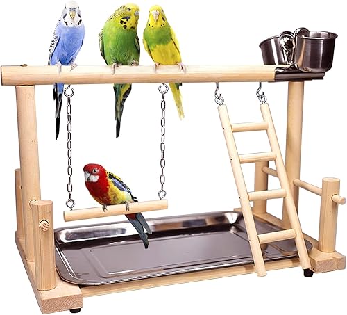 Miniatura 8 de kathson Parque infantil para pájaros, gimnasio de juegos de loros, soporte de juego de periquitos con perca de madera de fresno espinoso, soporte de