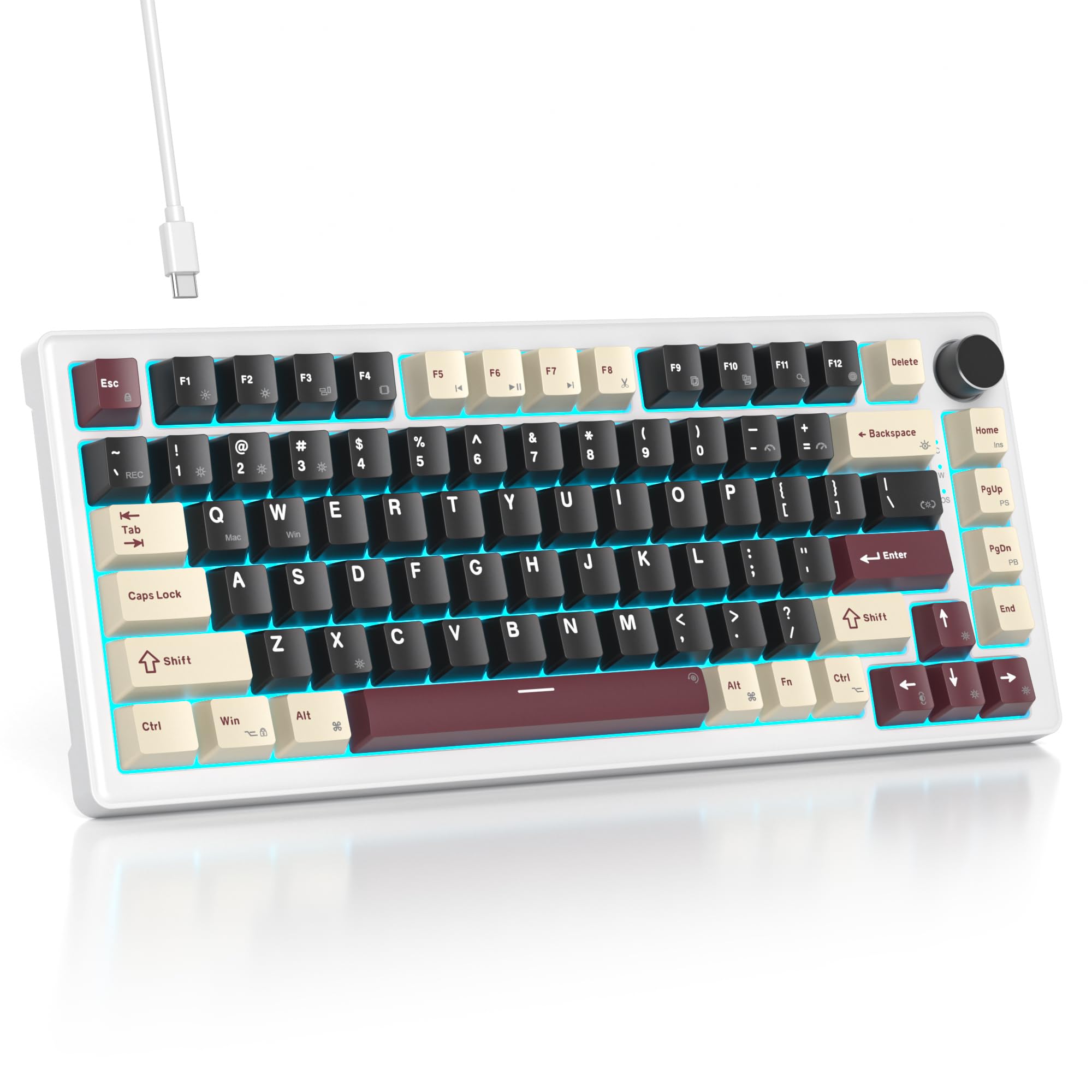 SOLIDEE Tastiera Gaming Meccanica 75%, Retroilluminata RGB, Hot Swappable, TKL NKRO, 82 Tasti, Manopola Volume
