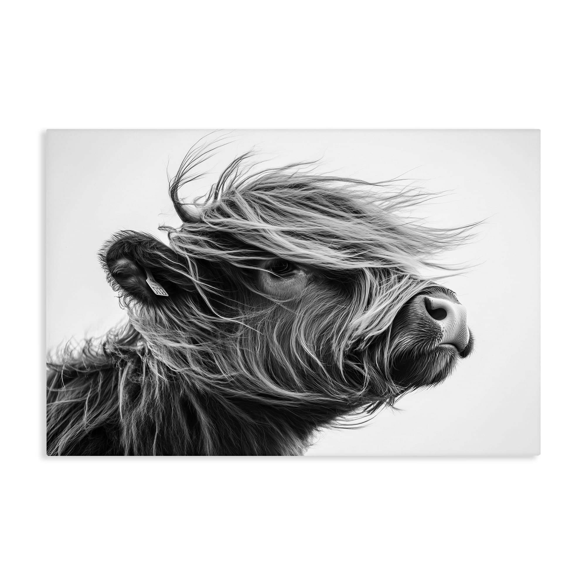 Stupell Industries Highland Cow Portrait_v3 'Handsome Highland Portrait'| Canvas Art