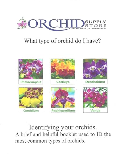 Miniatura 4 de Maceta de plástico transparente para colección de orquídeas de 3 4 y 5 pulgadas con identificación del libro de orquídeas