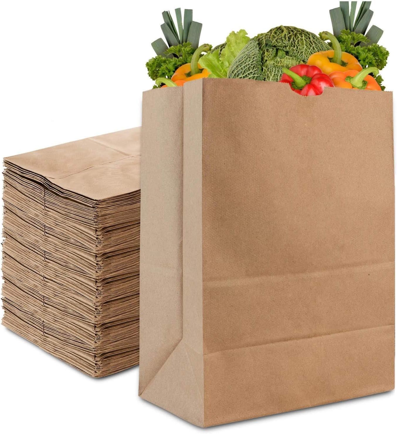 6 Lb Kraft Brown Paper Lunch Bags (500 Count) - Bulk Disposable Lunch Sacks, Small Size Blank Bag for Kids, Good for a Snack, Sandwich, Grocery Food, and Arts & Crafts Projects