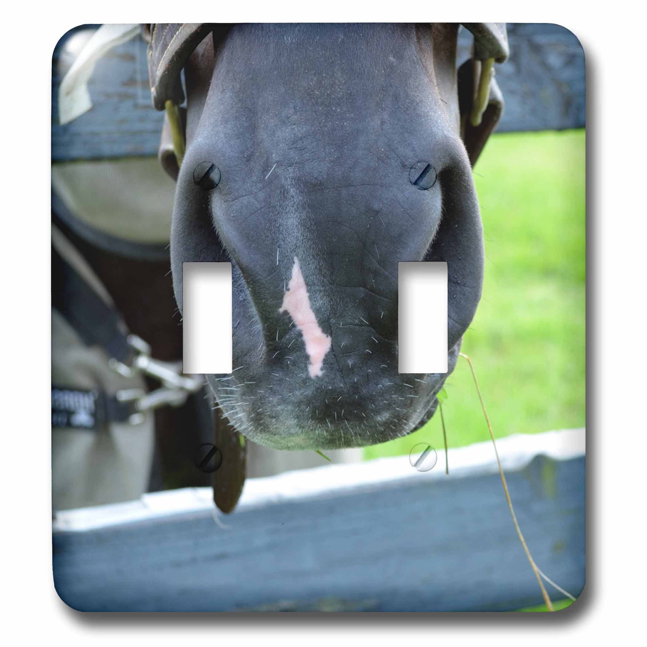 Muselière pour cheval sur plaque interrupteur double bascule pour ambiance maison de campagne