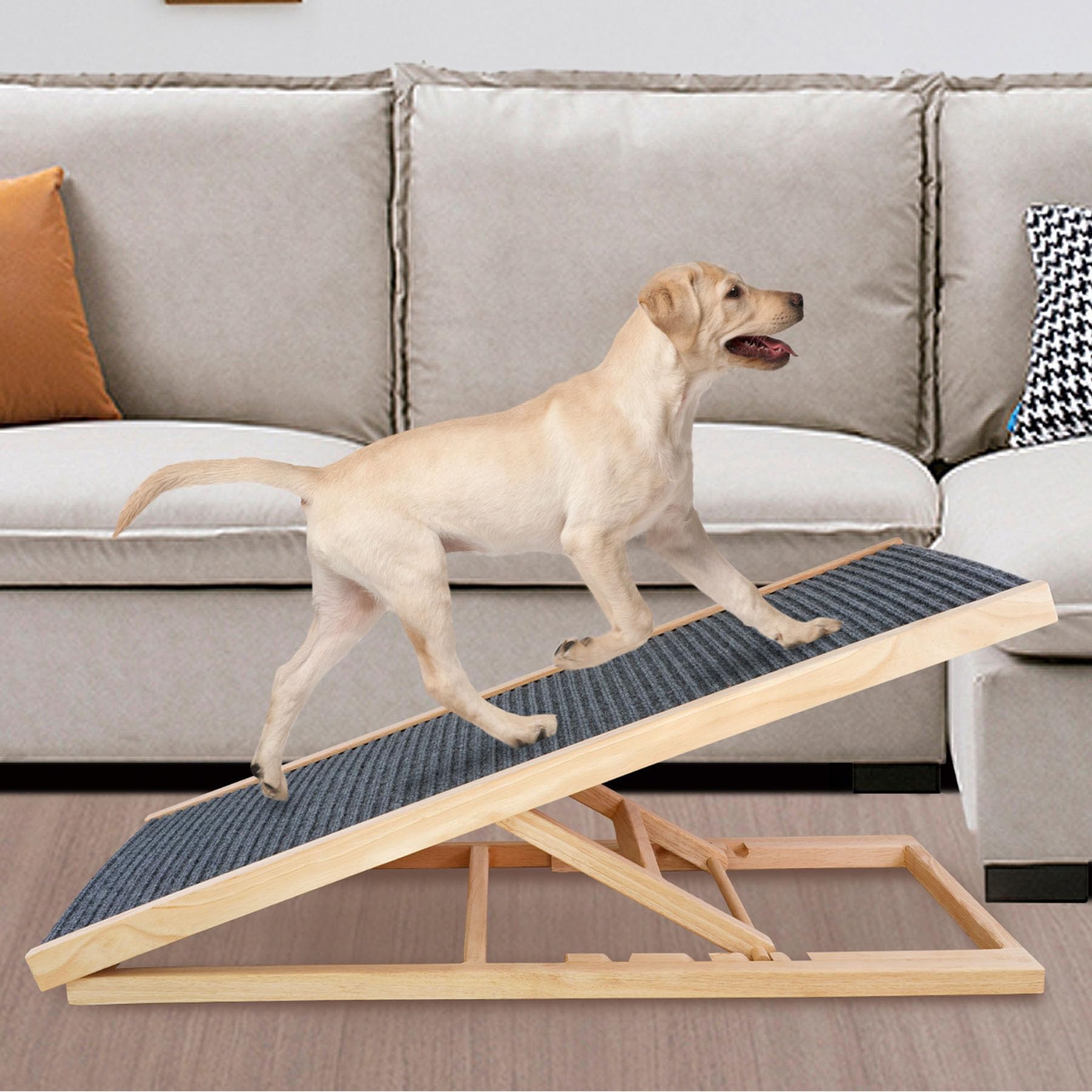 Folding Dog Ramp for Bed, Couch & Car?17