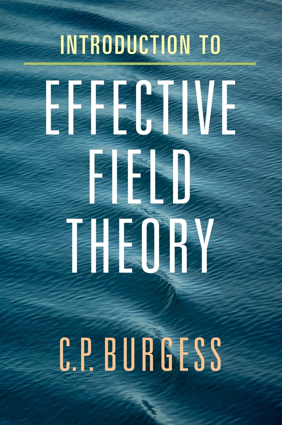 Introduction to Effective Field Theory Burgess Hardback 9780521195478