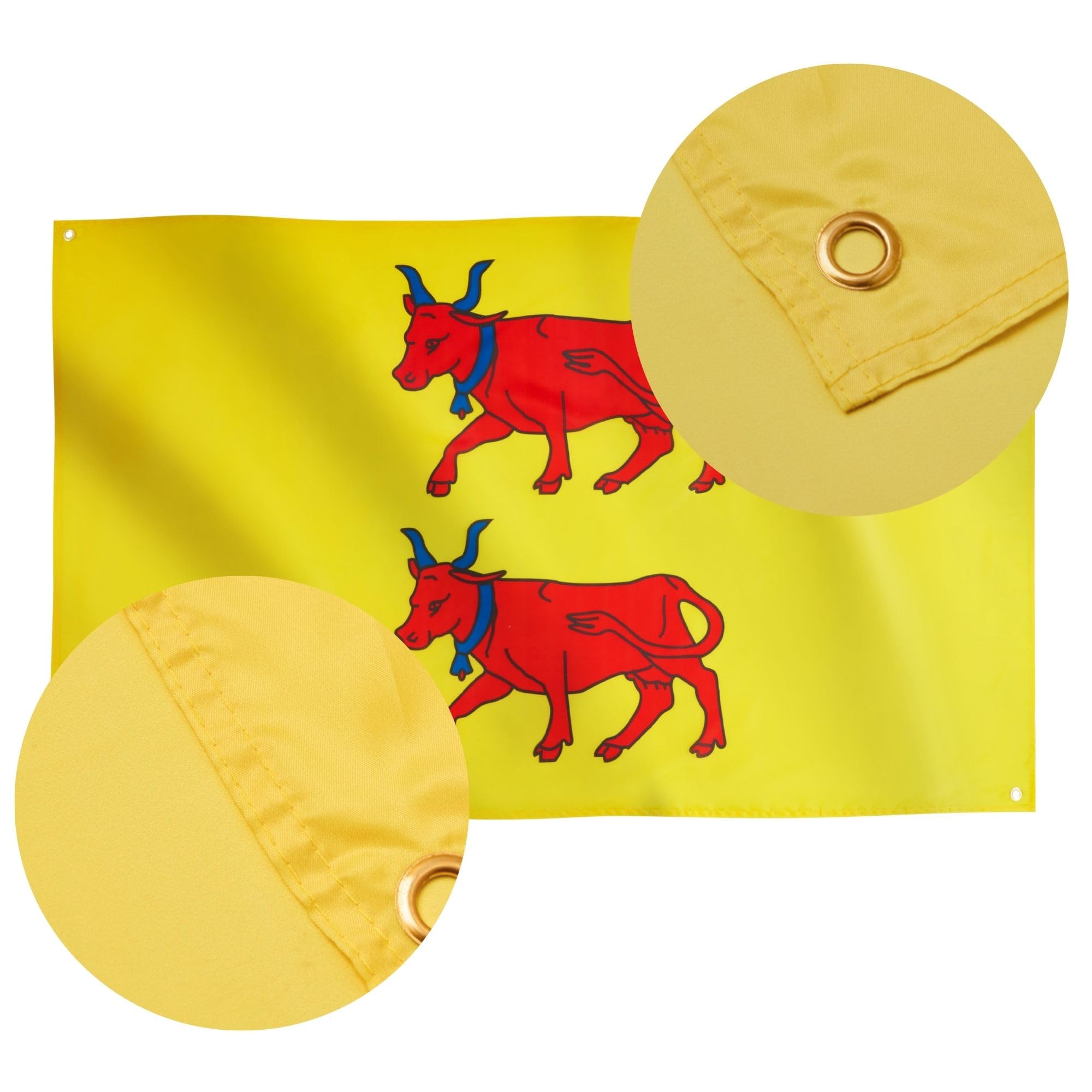 Runesol Province of Barn Flag, 91x152cm, 3ftx5ft, Pyrnes-Atlantiques Flag, 4 Grommets, Eyelet In Every Corner, French Region Banner, Premium Flags, Inside, Outside, Vivid Colours - Image 4