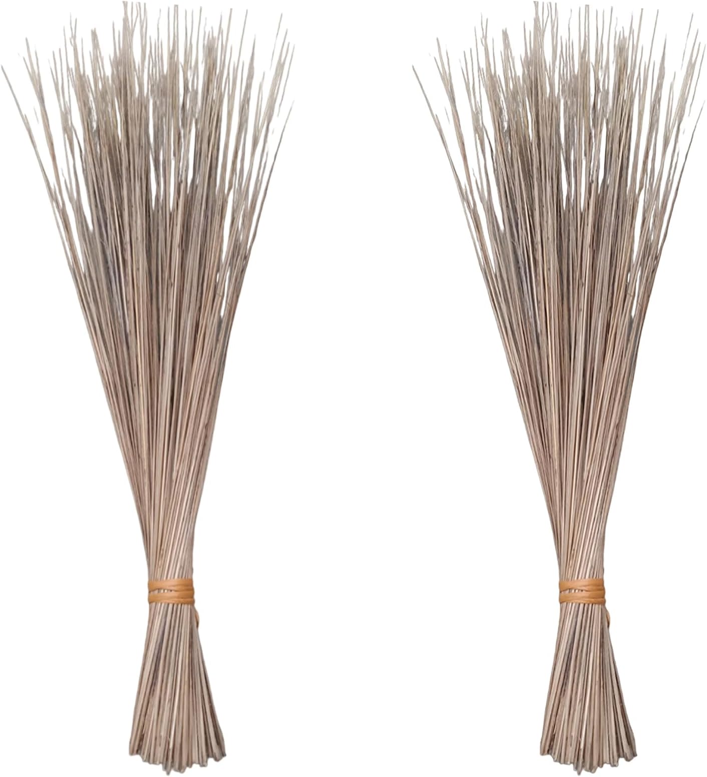 M.V.M Traders Traditional Coconut Broom Stick Leaf Grass Washable Seekh Jhaadu with Firm & Comfortable Grip Ideal for Wet Surface Cleaning (Pack of 2)