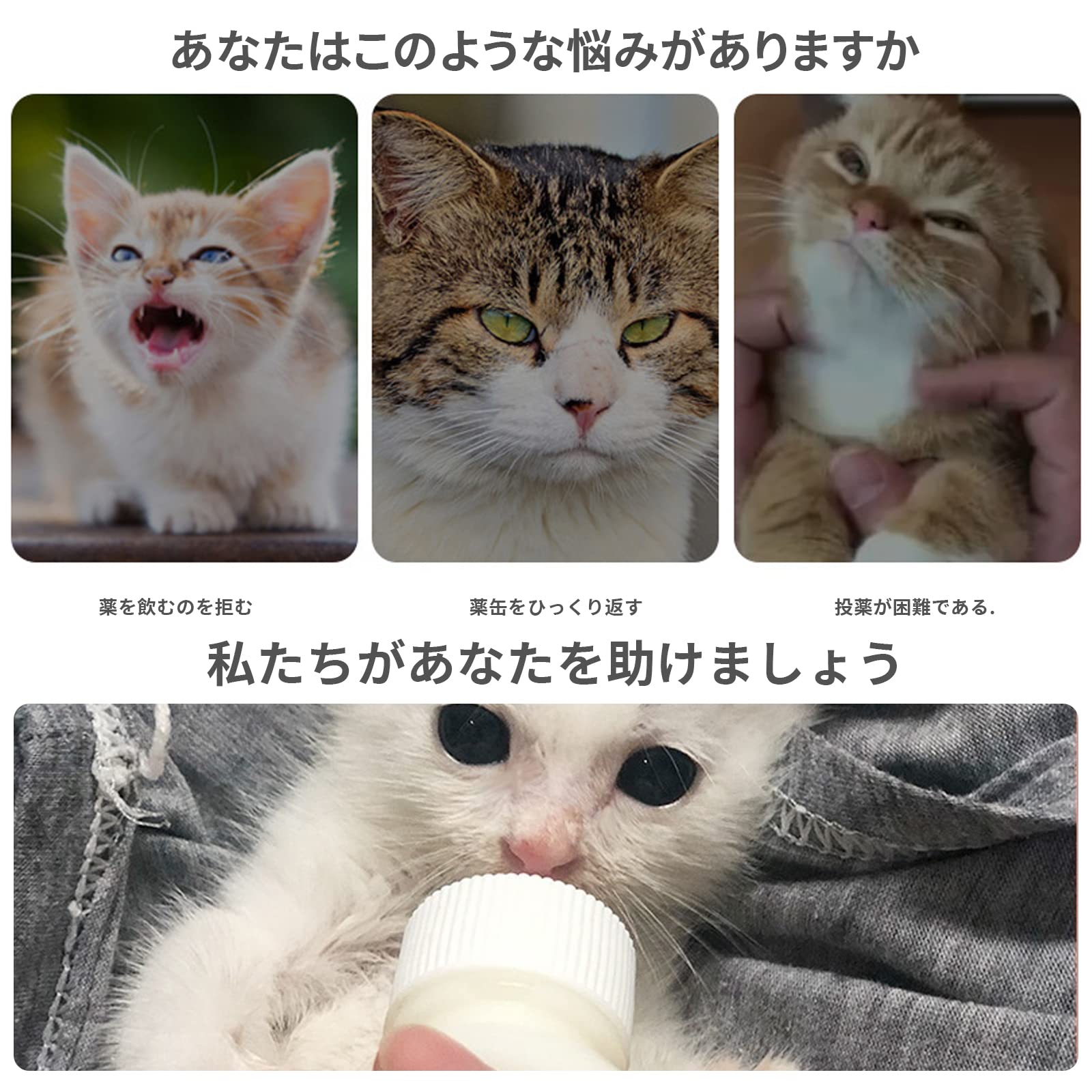 Amazon.co.jp: NOBONU インコ シリンジ 給水 授乳 投薬器 ペット 哺乳