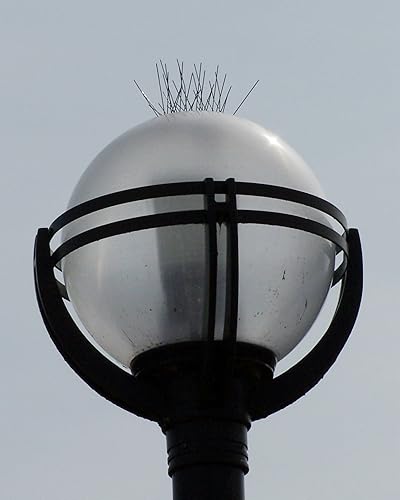 Miniatura 7 de Nixalite Bird Spike Wildlife Barrier Kit (10ft, 5-2ft Strips)