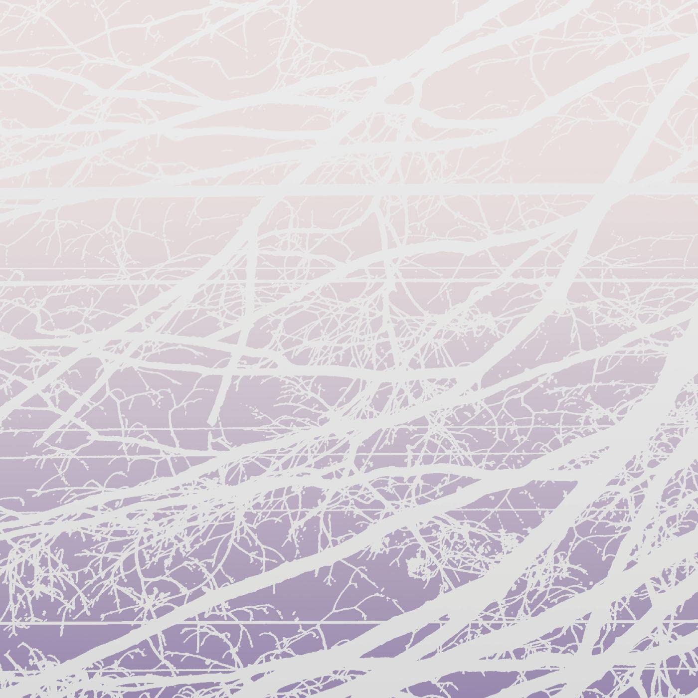 Metal Aether / Resonant Field [VINYL]