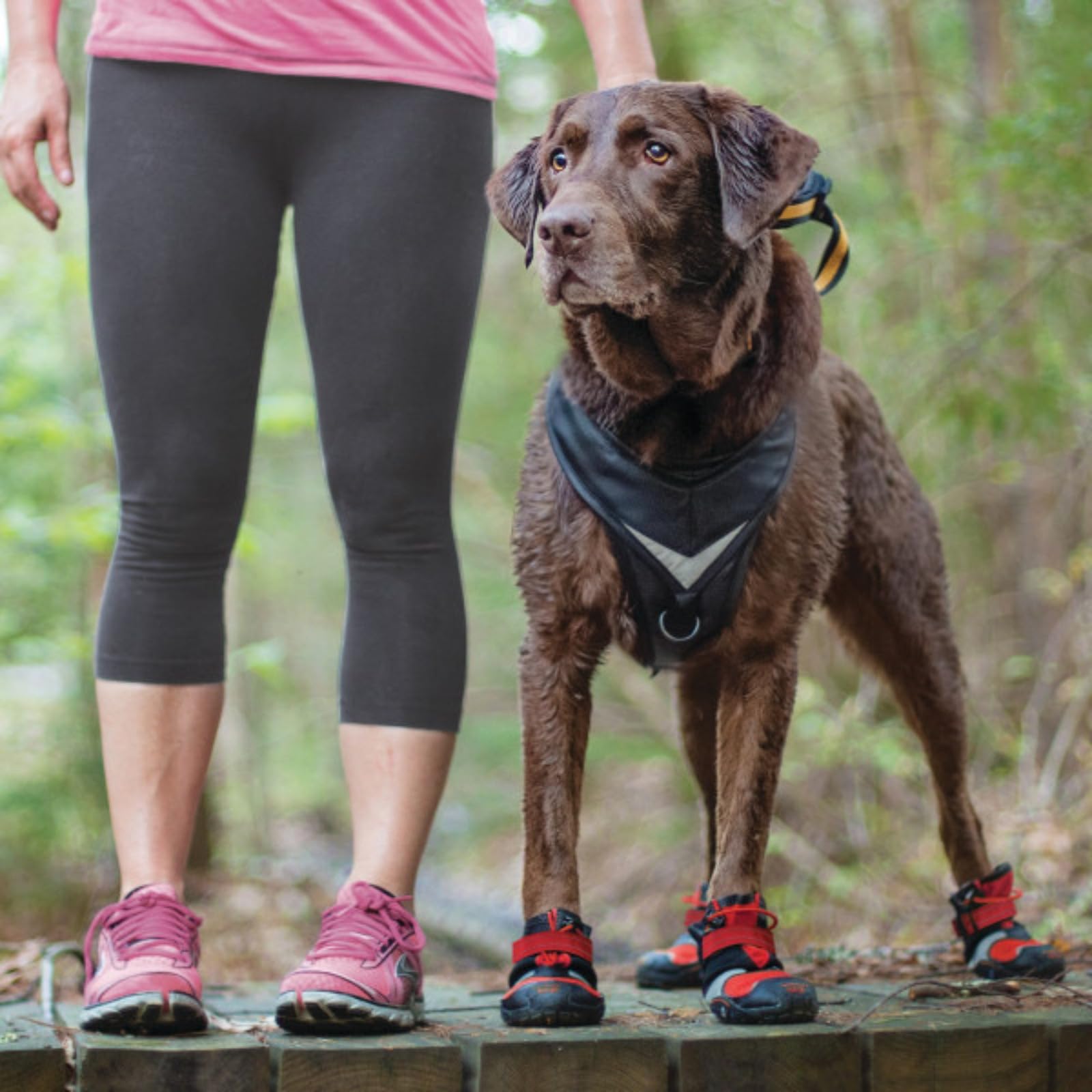 Kurgo Blaze Hunde-Stiefel - Für jede Jahreszeit - Atmungsaktives Material - Wasserabweisende Hundeschuhe - Doppelte Knöchelverschlüsse - Reflektierende Stiefel - Chilirot/Schwarz - M