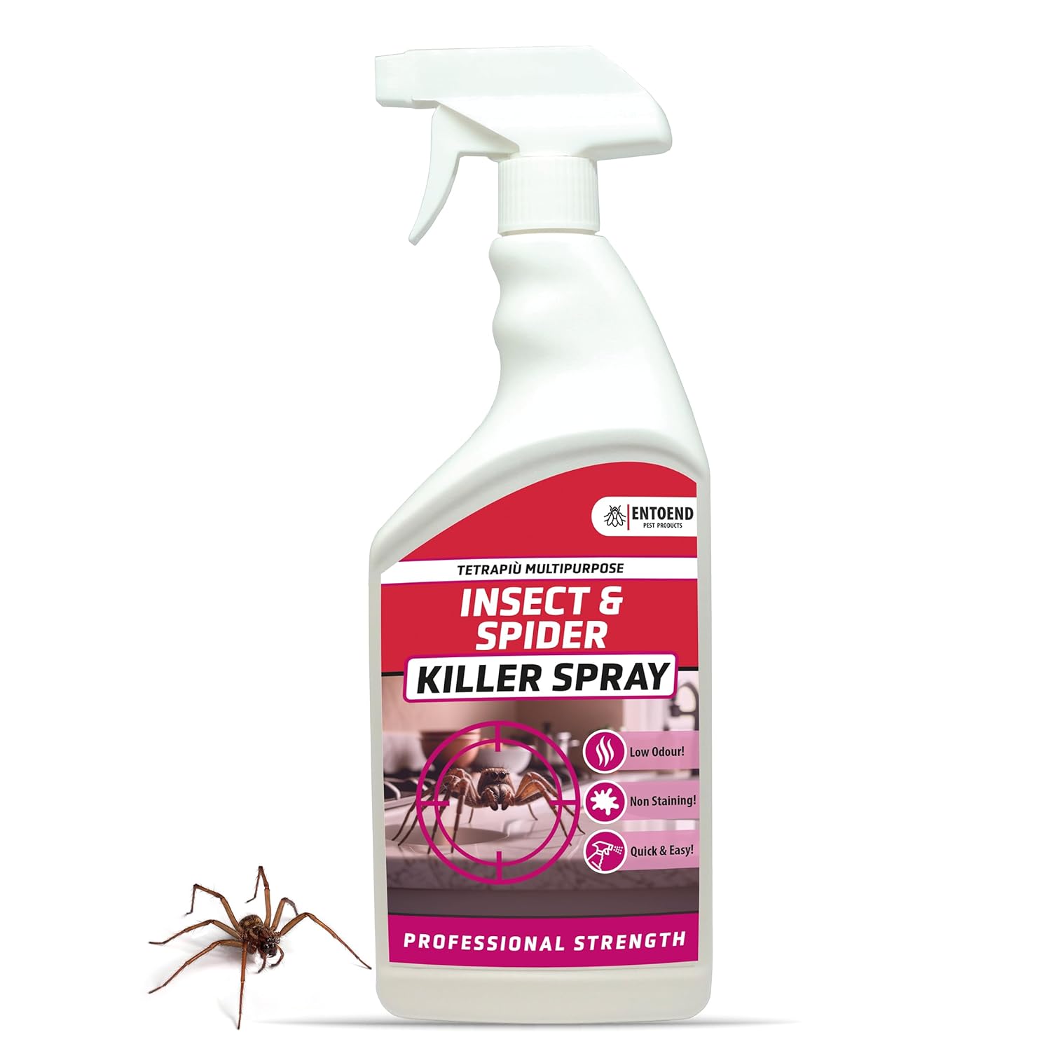 ENTOEND Crawling Insect Killer Tetrapiu Multipurpose Large 1 Litre