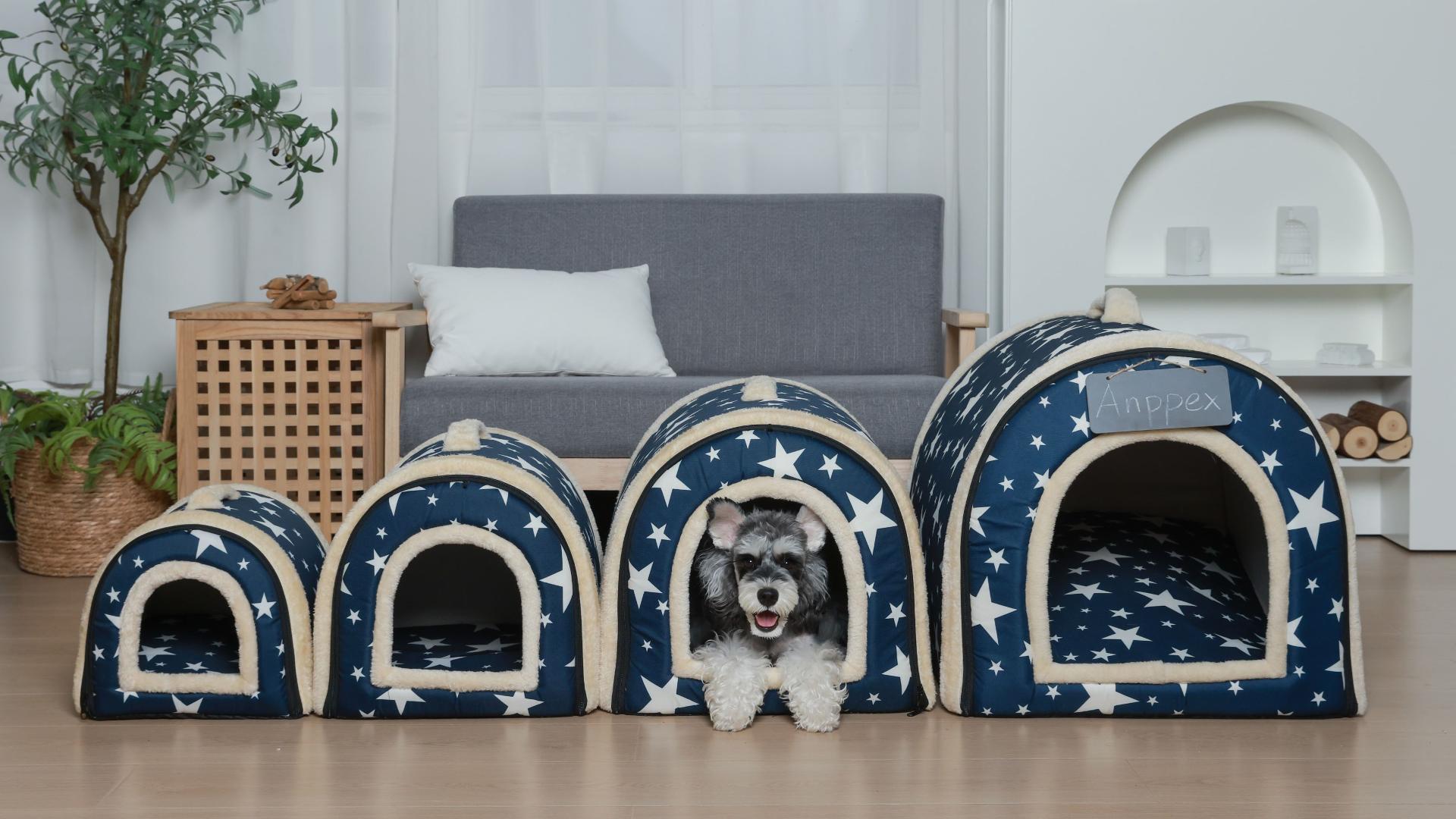 MidWest Homes For Pets Wendbares Hundebett – Maschinenwaschbar, Für Mittelgroße Hunde