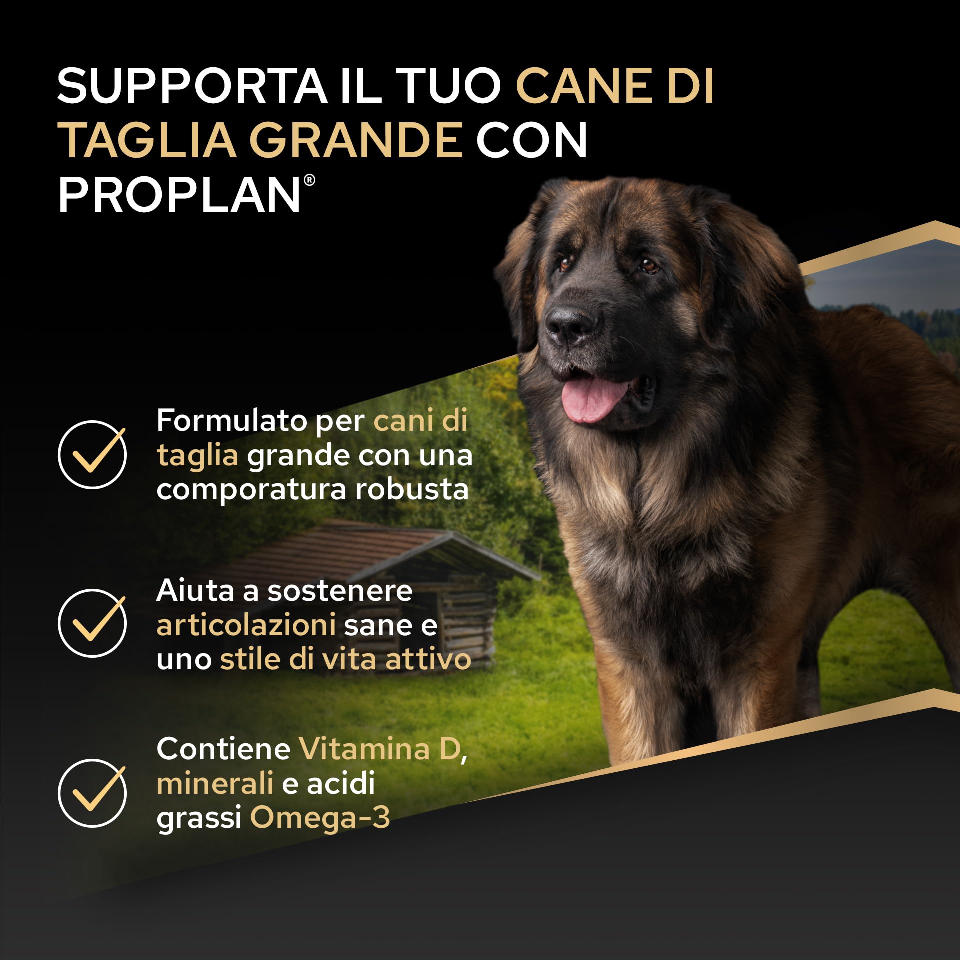 Purina Pro Plan Optibalance Large Robust Adult Crocchette Cane 14kg
