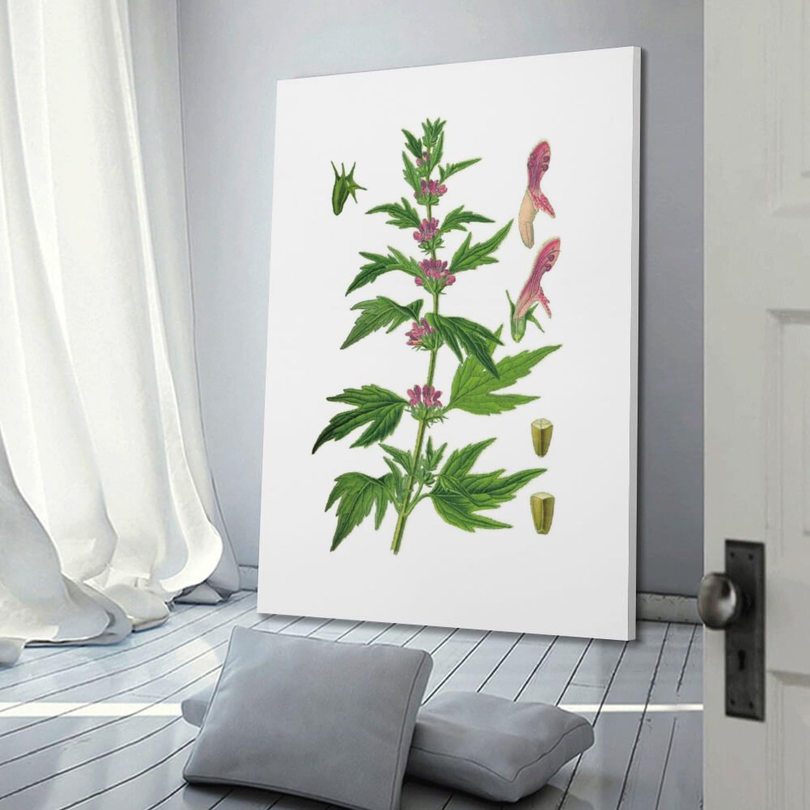 HNPBB Poster "Botanys & Plant", gemeines Mutterkraut, Illustration, Poster, dekoratives Gemälde, Leinwand, Wandposter und Kunstdruck, moderne Familienschlafzimmer-Dekoration, Poster, 30 x 45 cm