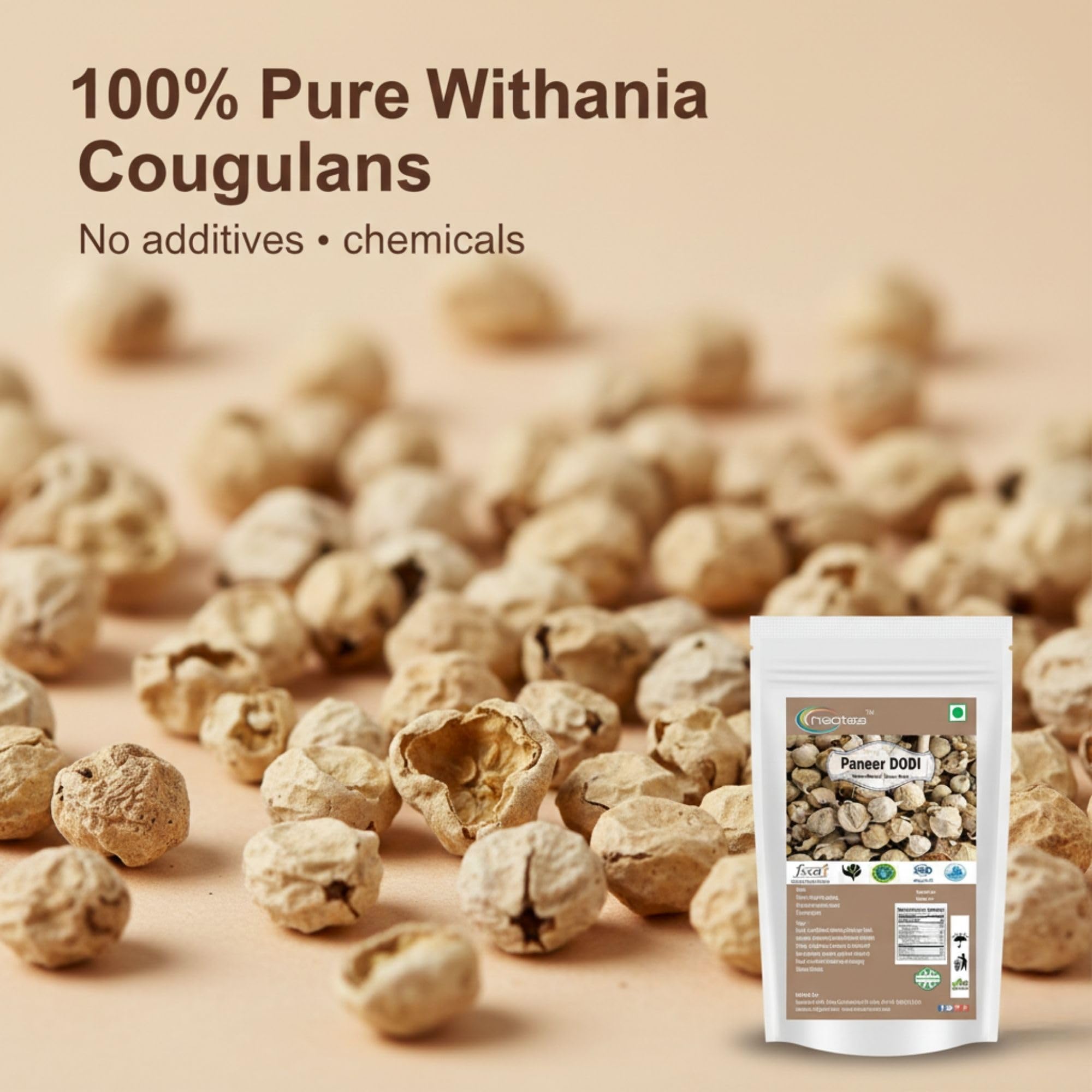 PLANET 007 Natural Paneer DODI Paneer Ke Phool Withania Coagulan Paneer Doda Indian Rennet 150 Gram - View #9