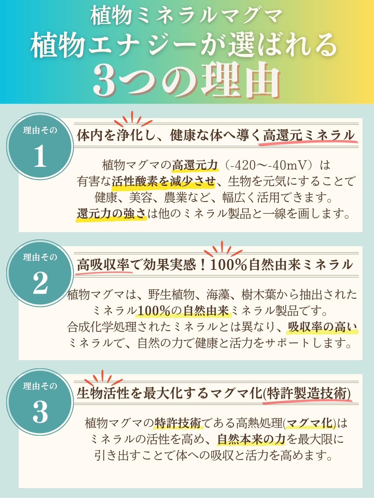 Amazon | 【植物ミネラルマグマ】BIE[植物マグマ]原末(分包) （内容量