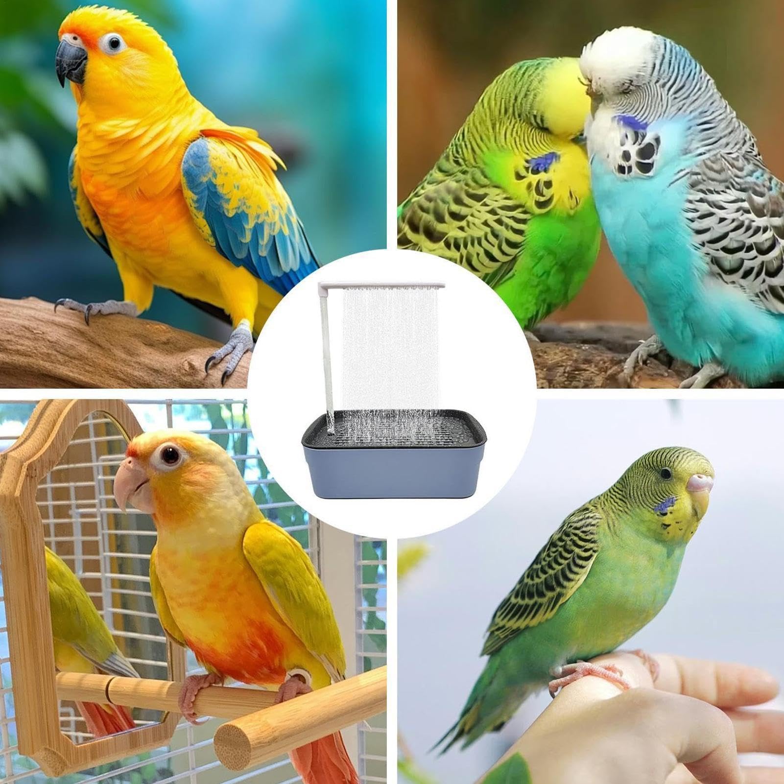 Parrot wanna, automatyczna kąpiel papugi Kąpiel ptaków w fontannie z | Wygodna cicha zabawka kąpielowa basenu dla przyjaciół FamiliesLovers