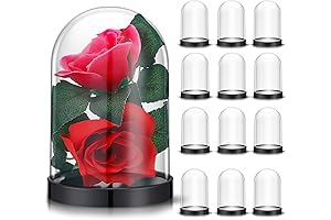 La Cúpula: A Crystal Clear Display for Your Precious Keepsakes