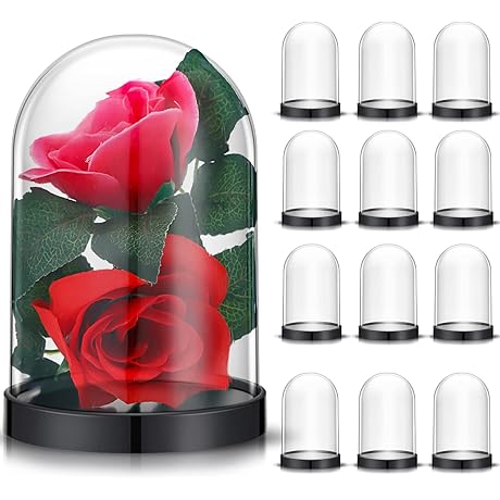 La Cúpula: A Crystal Clear Display for Your Precious Keepsakes