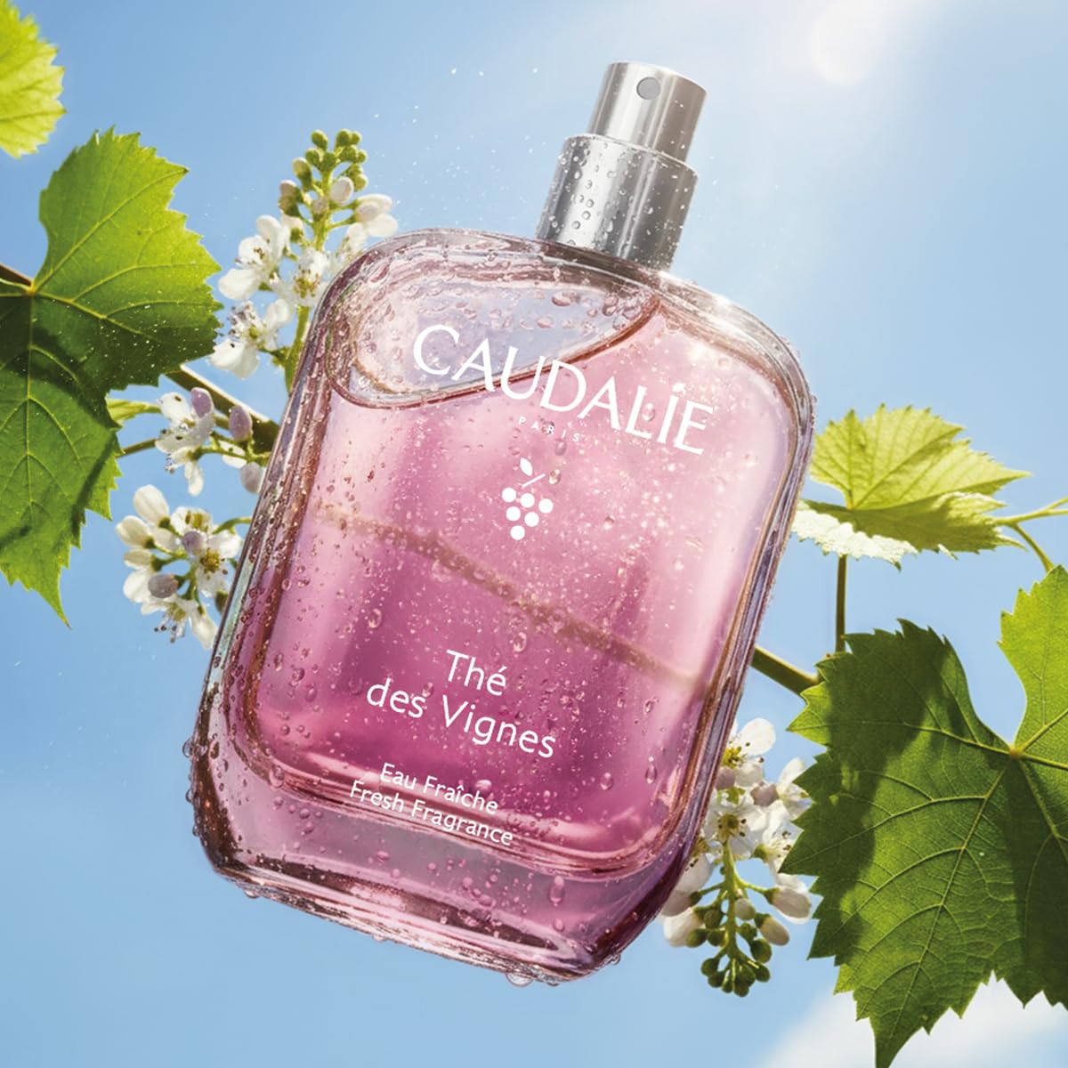 Caudalie Acqua Profumata Thé des Vignes – Fragranza Dolce e Sensuale, Note di Zenzero Neroli e Muschio Bianco, 92% Ingredienti di Origine Naturale, Senza Coloranti, Vegano, 50 mL