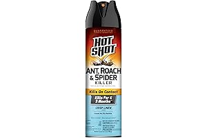 Hot Shot Ant, Roach & Spider Killer Spray: Your Indoor and Outdoor Bug Extermination Solution