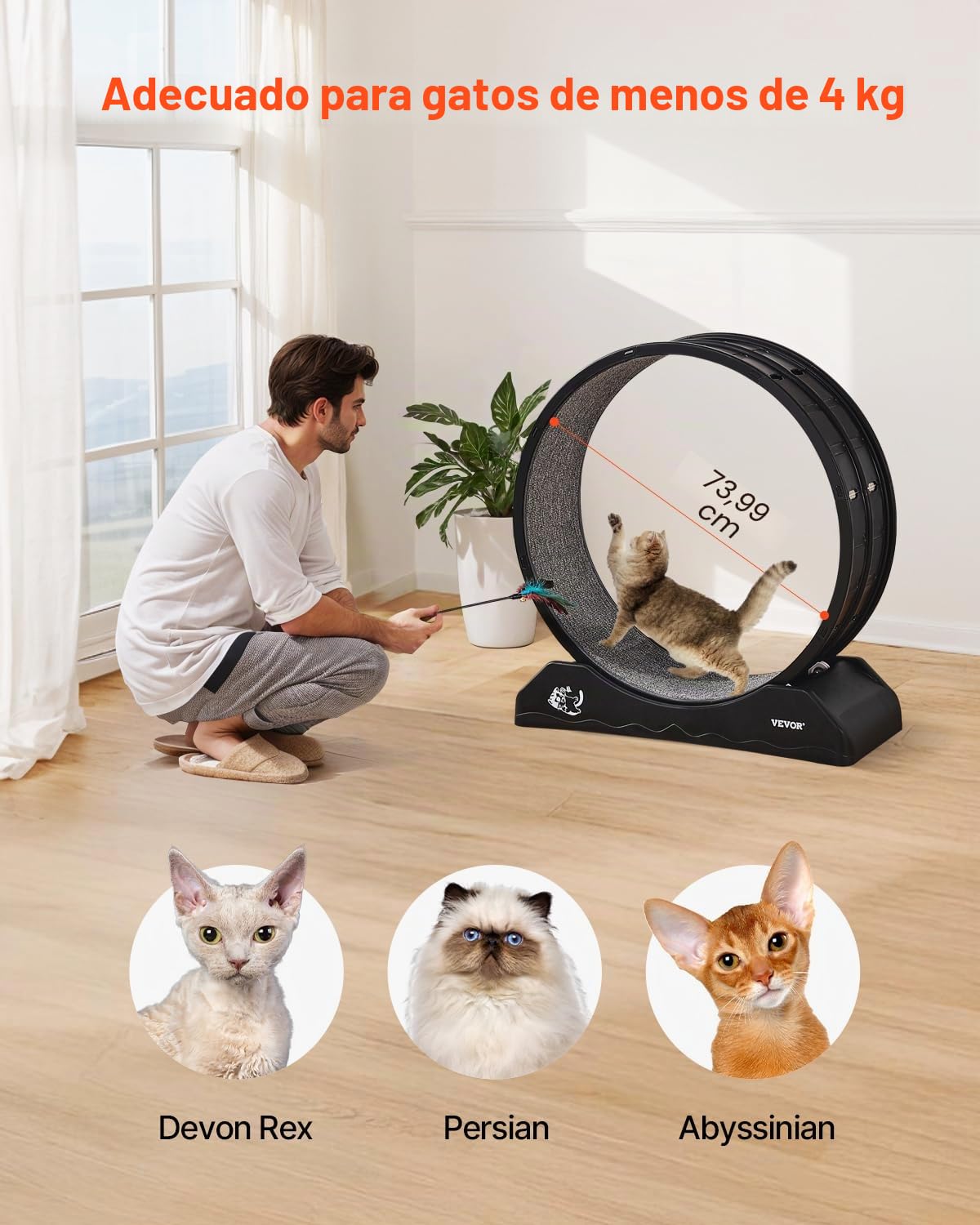 VEVOR Rueda de Ejercicio para Gatos de 800 x 340 x 850 mm, Rueda Grande para Correr con Freno Seguro y Pista Alfombrada, Cinta de Correr Silenciosa para Mascotas para Pérdida de Peso y Salud, Negro