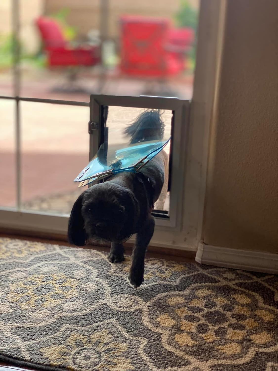 Screen Cat & Dog Doors | Single Flap | 1/2" Frame Screen Doors ONLY | Skilled Install Required | Heavy Frame of Extruded Aluminum | Steel Reinforced Corners | Fresh Air in, Bugs Out! | Hale Pet Door