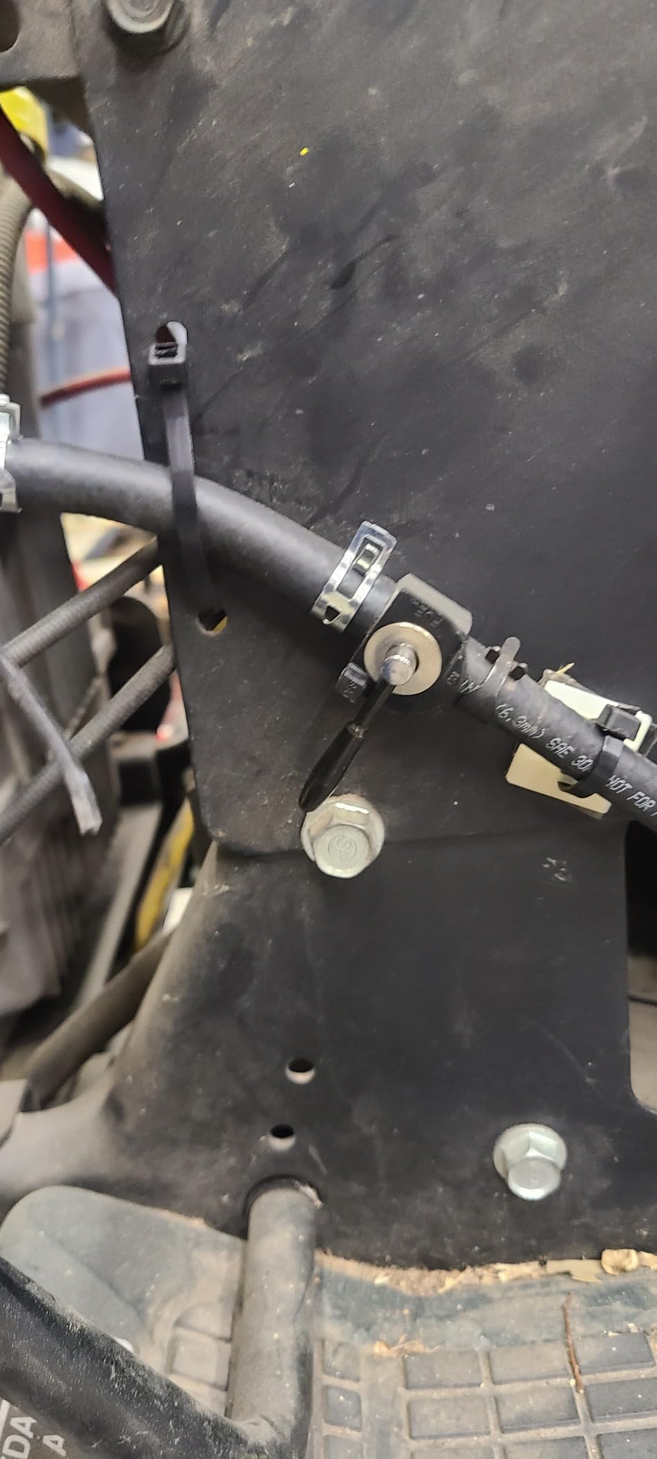 Amazon.com: BlueStars 48568 1/4