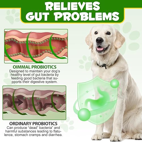 Miniatura 8 de Probióticos en polvo para perros  Suplemento digestivo pre y probiótico con enzimas digestivas y prebióticos para el apoyo del perro salud