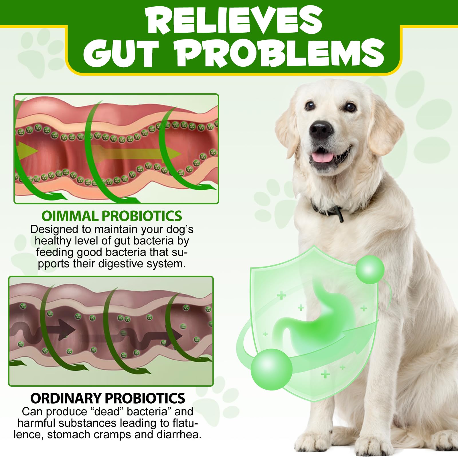 Dog Probiotic Powder, Rich In Prebiotics, 12 Strains Of Beneficial Bacteria, Support Healthy Digestion - Image 3