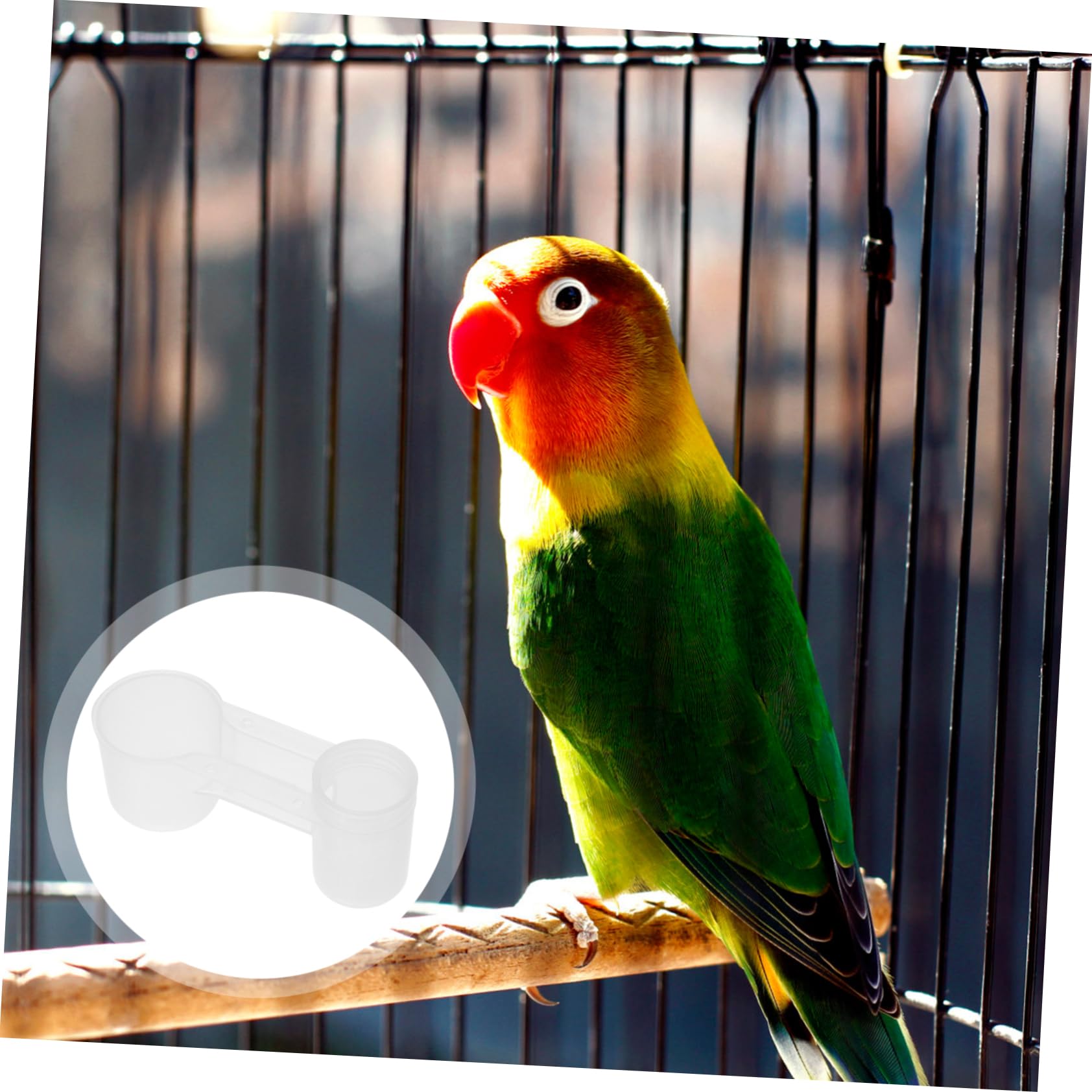 Abbeveratoio per Uccelli Doppia Porta in Plastica Pet, Set 10 Pezzi, Bevitore per Piccioni e Pappagalli, Forniture per Alimentazione Domestica e Zoo