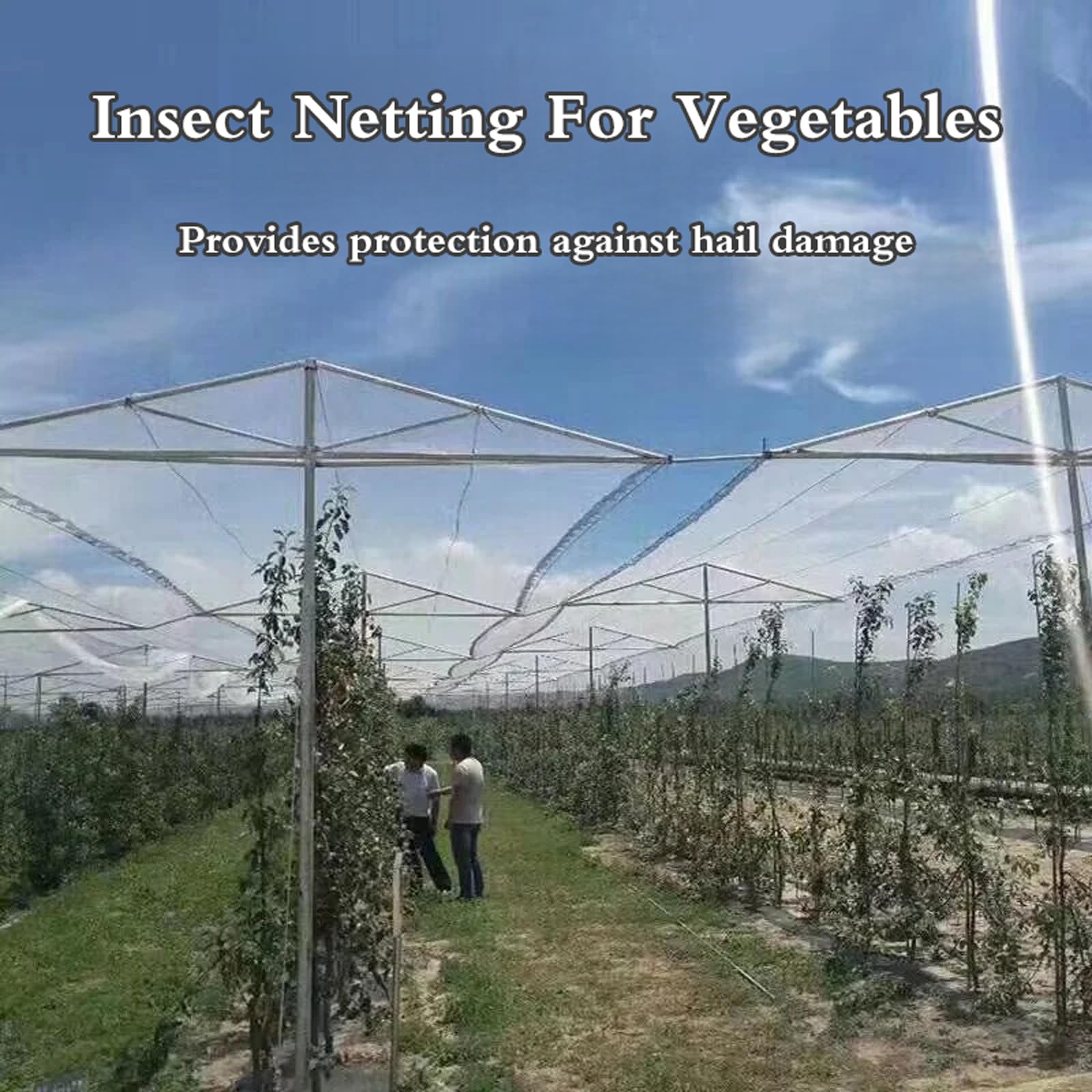 Resistente allo Strappo Raggi UV Telo Antigrandine,Rete Anti Uccelli Protettive da Giardino,Rete Antigrandine Alta Portata,Protezione UV,per Frutta e Verdura,Giardini,Piante