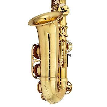 handmade0127✧︎新品✧︎ジャス　スタンダードPコート　ホワイト　S Amazon.com: Jean Paul AS-400SP Student Alto Saxophone