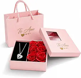 Caixa Porta Joias Presente Mãe com Rosa Decorativa e Colar Surpresa Formato Compacto (Rosa)