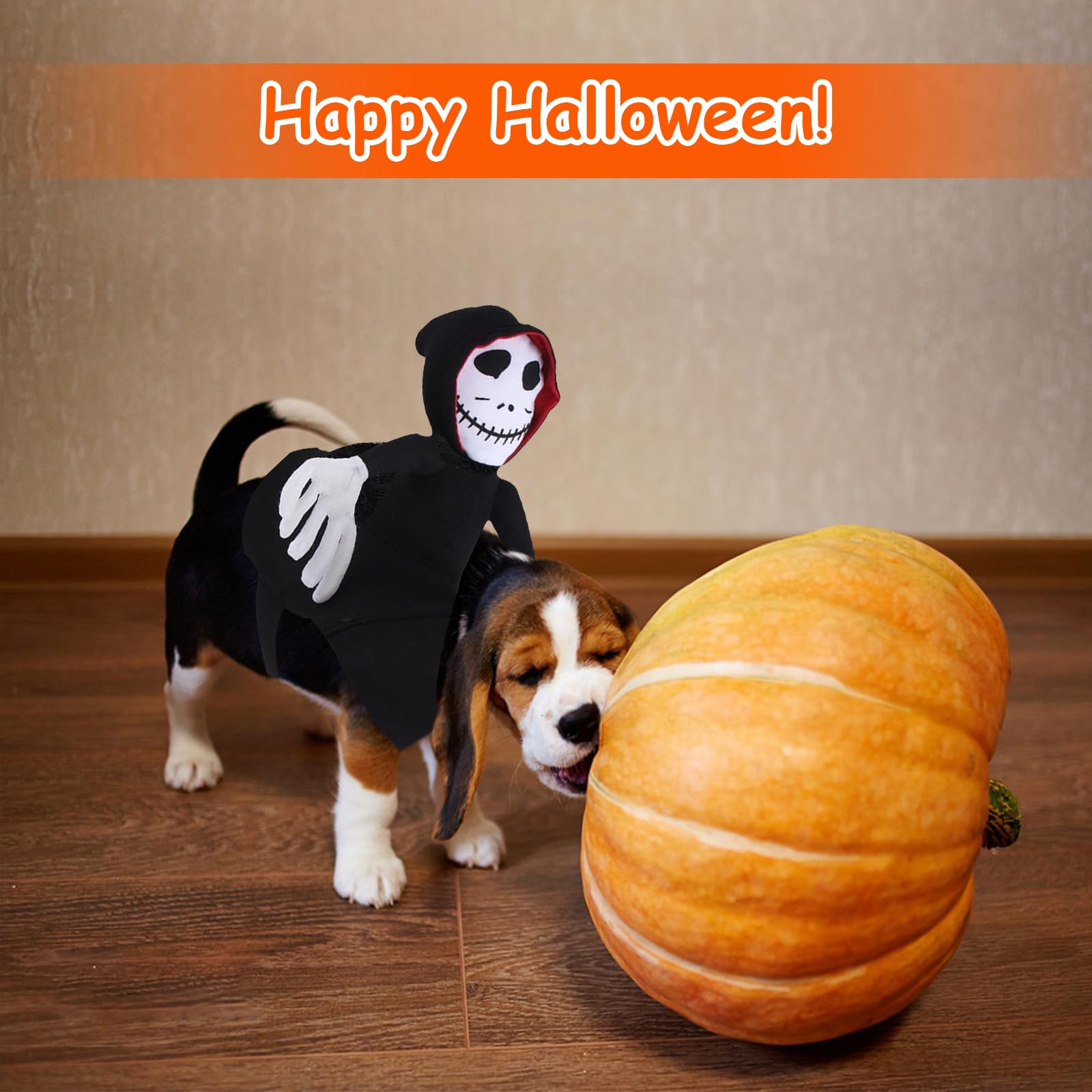 Halloween Hundekostüm Kostüm Hund Halloween Hunde Kostüm Hunde Hundekostüm Groß Dog Costume