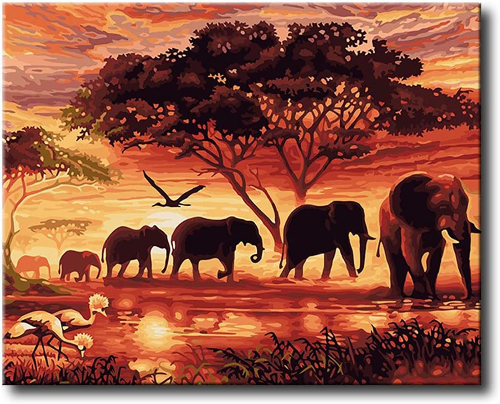 Shukqueen Brown Paint By Numbers For Adults Animal, Diy Oil Painting Kits For Beginner (Elephant, Frameless-16X20 Inch)