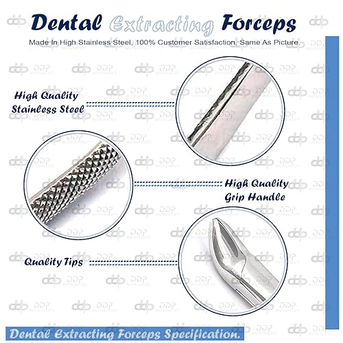 Miniatura 4 de DDP - 10 unidades de dispensador de acero inoxidable para matrículas de 150 unidades