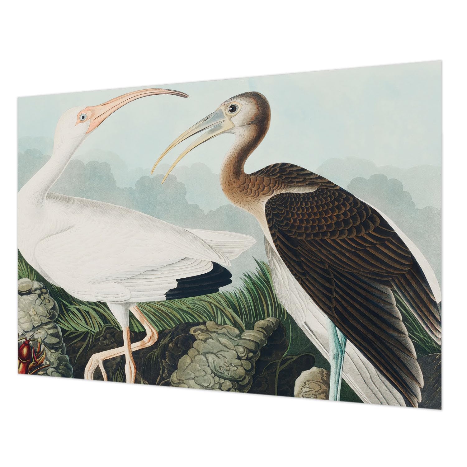 Papier peint couple d'oiseaux pour créer un cocon nature dans votre salon