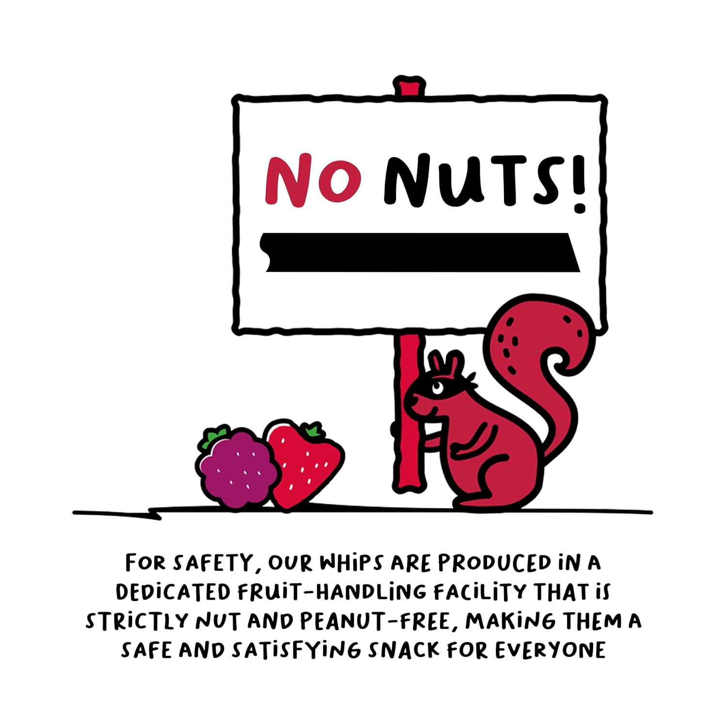 The FROOT Thief Real Fruit Snack Whips, Strawberry, Nut Free, Perfect for School Lunches and Snacks, Individual Bags Kids Snacks, 24 Pack