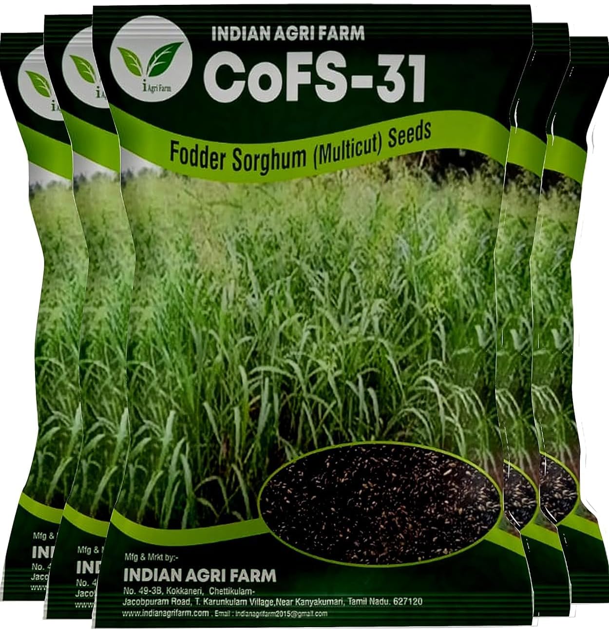 COFS31 / COFS-31 Fodder Sorghum Seed - 5 Kg - MultiCut for Fodder Cultivation