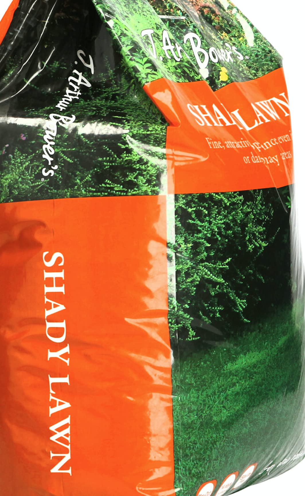 Buy Shady Lawn Grass Seed 5KG by Arthur J Bowers, Premium All Area