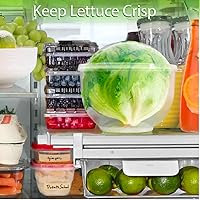 Vista 5 de Trenton Gifts Organizador de almacenamiento de lechuga y vegetales 17.8 x 20.3 cm