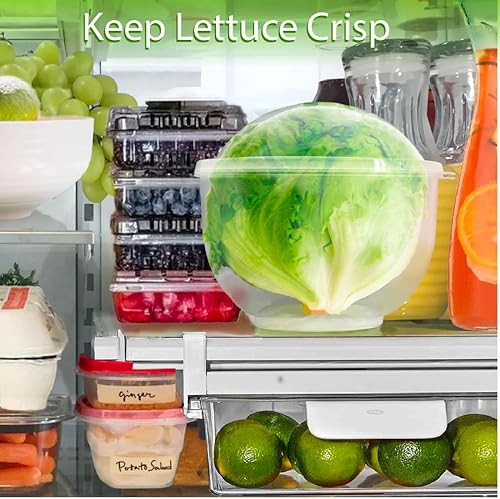 Miniatura 5 de Trenton Gifts Almacenamiento de lechuga y vegetal  7 x 8 pulgadas