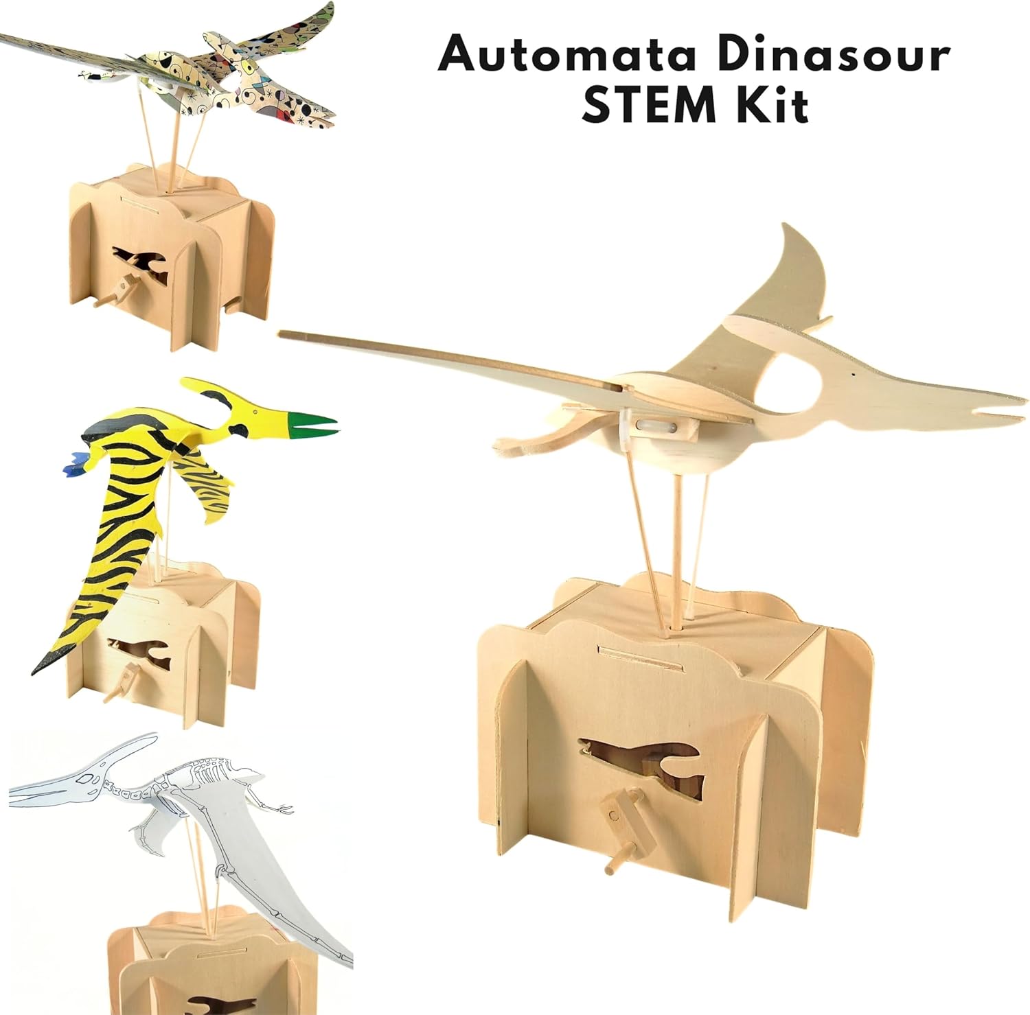 Pathfinders STEM Kit Make Your Own Pteranodon Automata